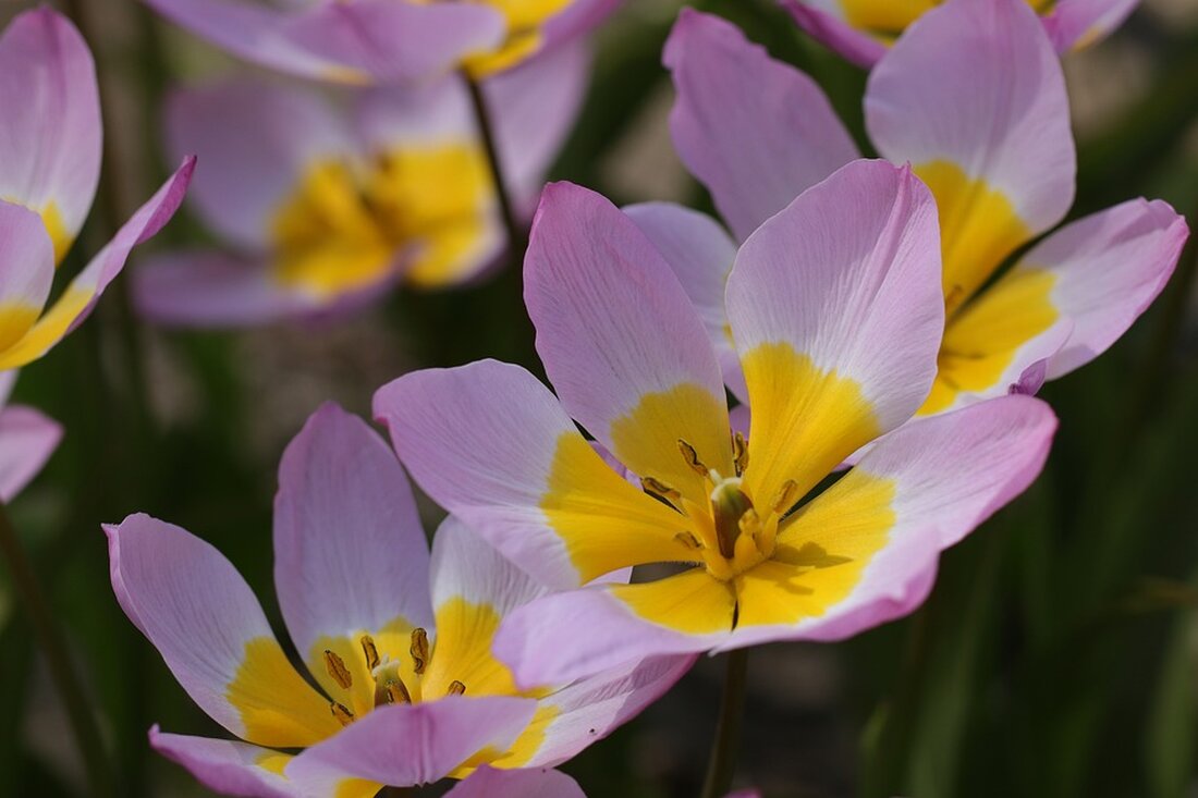 "Die manager magazin App wurde aktualisiert. Ältere Versionen funktionieren nicht mehr. Aktualisieren Sie jetzt, um weiterhin alle aktuellen Nachrichten und Analysen zu genießen. #managermagazin #AppUpdate"