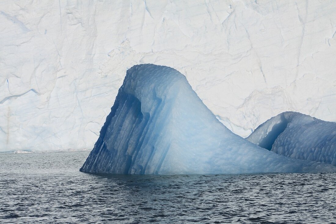 Erfahren Sie, wer von der neoliberalen Wirtschaftspolitik der AfD profitiert und welche Folgen sie für den deutschen Wohlstand hat. Profunde Analyse von Expertin Veronika Grimm.