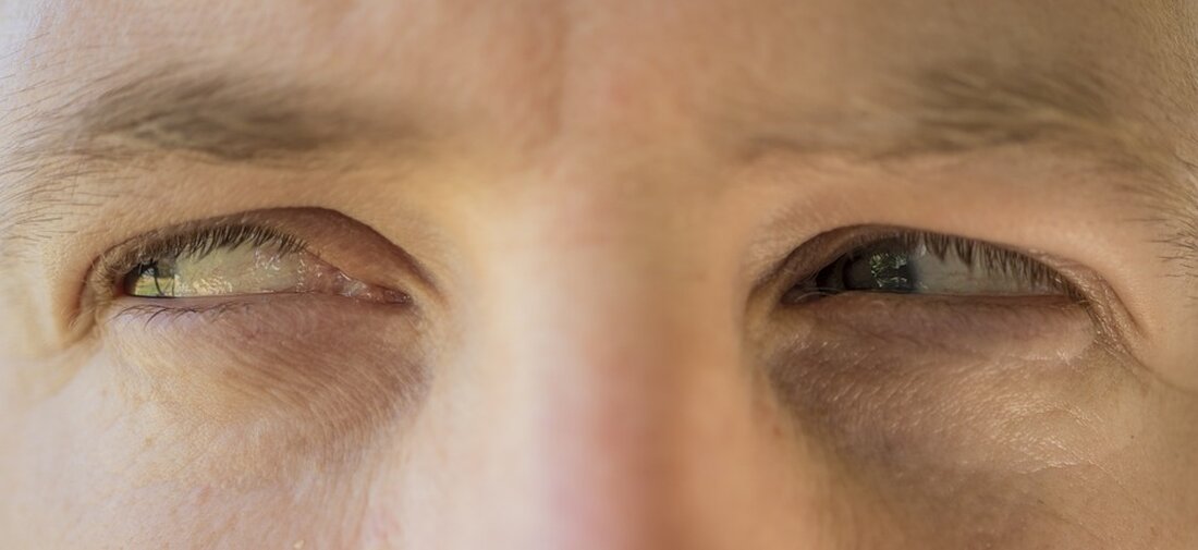 Finanzmärkte zeigen wenig Reaktion auf Nahost-Eskalation. Aktienmärkte stabil, Dollar stärker. Erfahren Sie mehr in unserem Artikel.