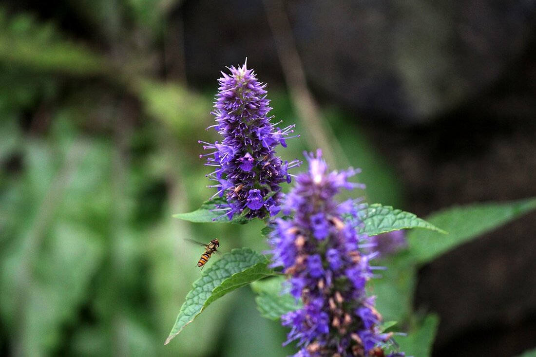 Aktuelle Analyse: Dax vor Herausforderungen im April. Experten erwarten Korrekturmodus und Zinssorgen. Bleiben Sie informiert über den deutschen Aktienmarkt.