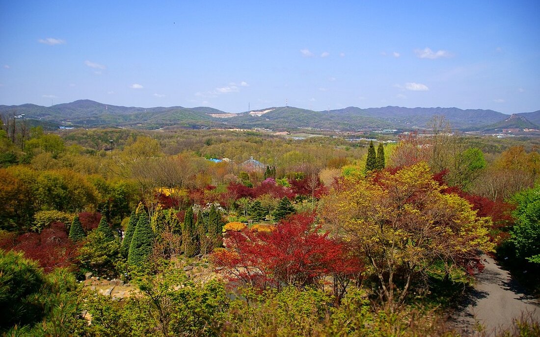 Expertengutachten zur Altersvorsorge in Deutschland: Milliardenlasten für die Zukunft. Wie kann der Status Quo erhalten werden? Erfahren Sie mehr!