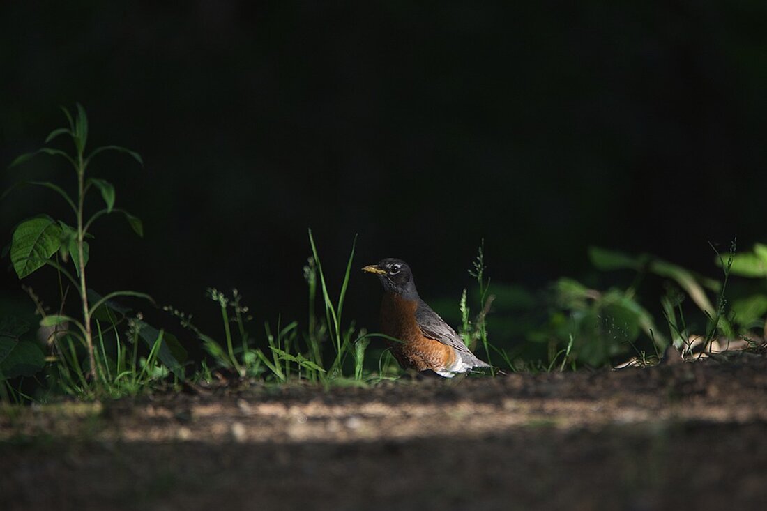 Inflation bedroht geplante Leitzinssenkung in den USA - Aktueller CPI-Anstieg stärker als erwartet. Erfahren Sie mehr hier.