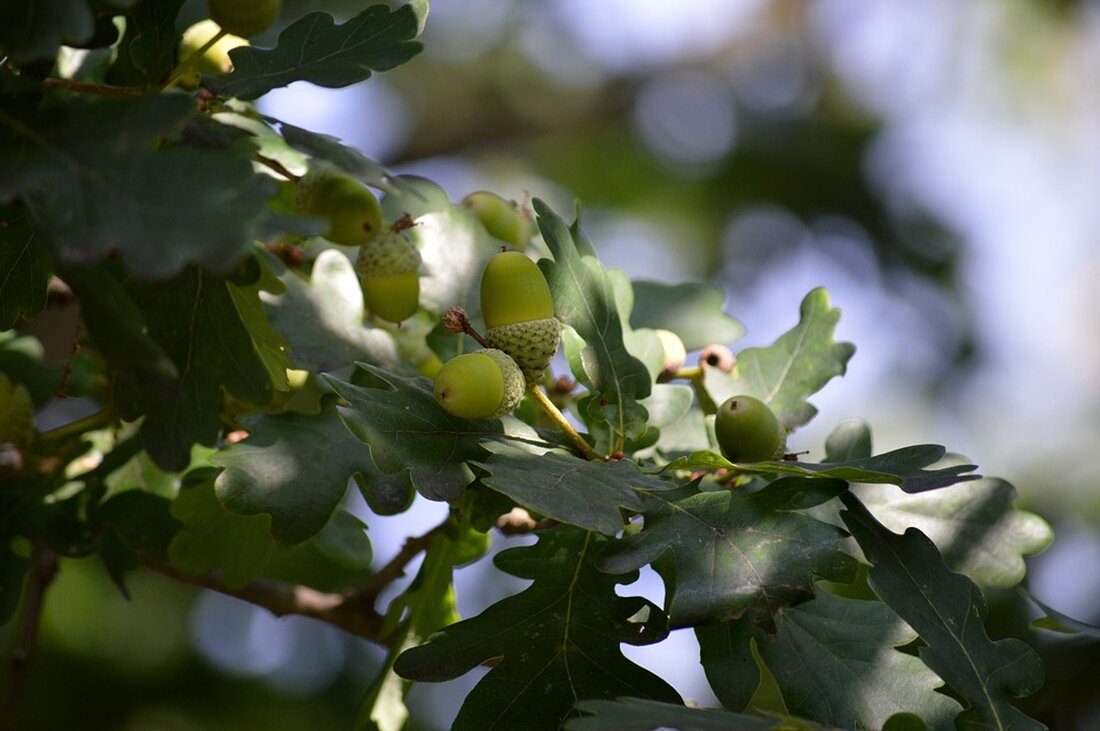 Entdecken Sie die ungeahnten Potenziale der Künstlichen Intelligenz in der Arbeitswelt laut Bitkom. Erfahren Sie, wie die KI Berufe verändert und optimiert. #Bitkom #Arbeitswelt #KI #Digitalisierung