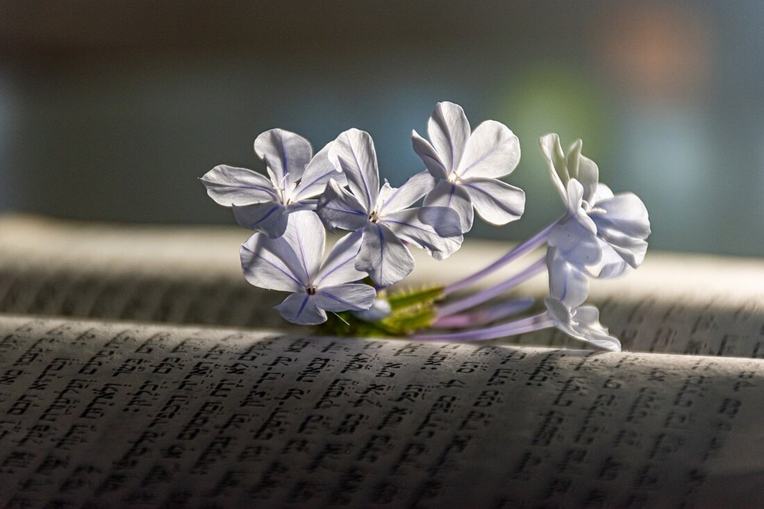 Entdecken Sie die Indexfonds, die langfristig zweistellige Renditen versprechen! Erfahren Sie mehr über Trendfolge-Strategien und lassen Sie sich von den Spitzenreitern des Marktes inspirieren.