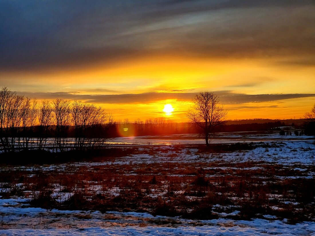 Solana Meme-Münzen erleben eine steile Korrektur, da der Enthusiasmus des Bullenmarktes verpufft. Santiment-Analysten analysieren die Auswirkungen auf den Kryptomarkt. Entdecke mehr hier!