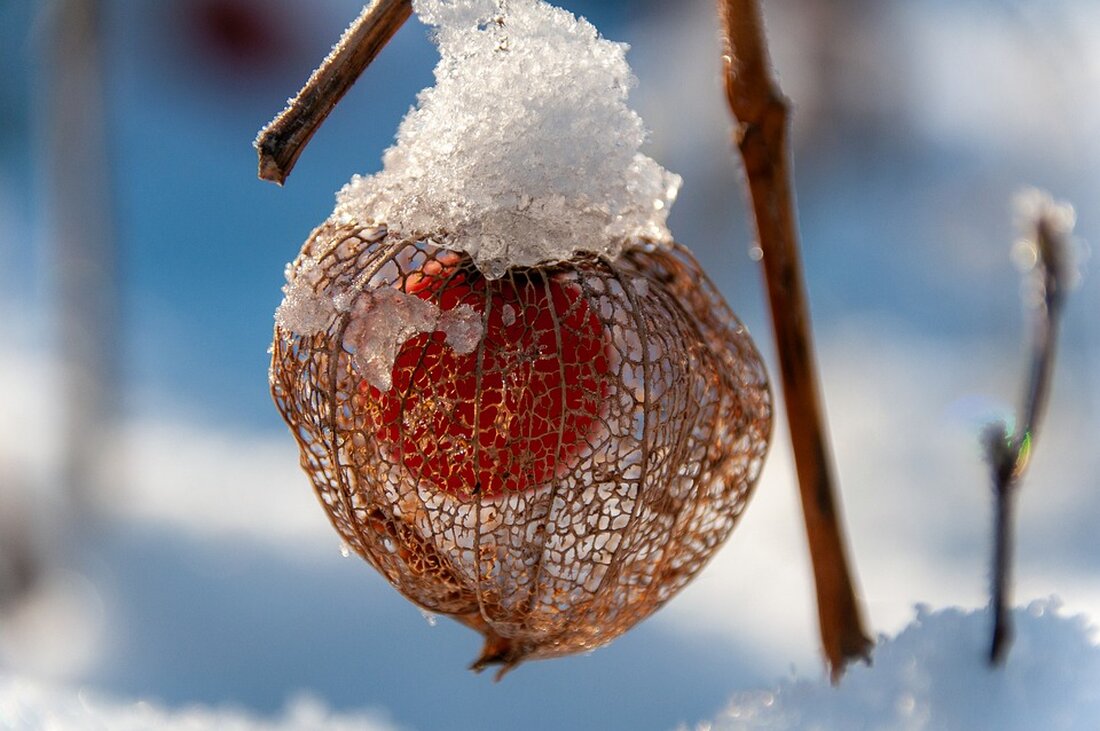 Die Debatte über Elektroautos zwischen Deutschland und China wird intensiver. Erfahren Sie mehr über das Konkurrenzverhältnis und die Auswirkungen auf den Handel. Keine Lust auf Handelskrieg! #Deutschland #China #Elektroautos #Handelsbeziehungen