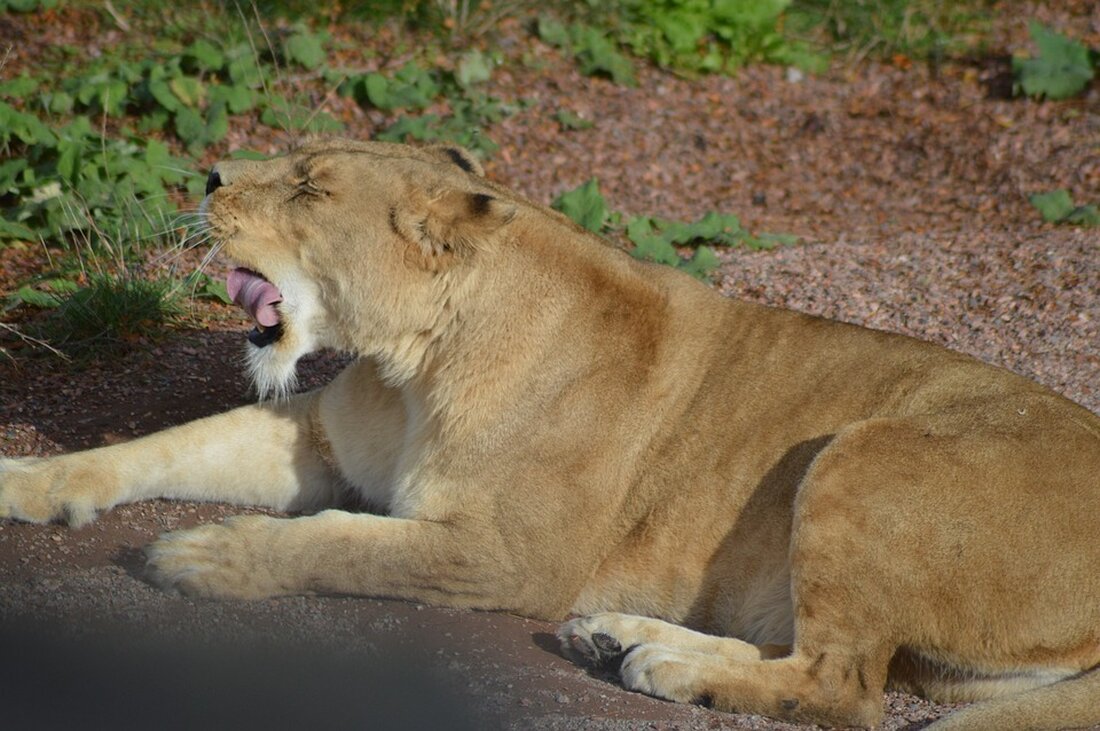 Aktuelle Analysen und Nachrichten über Handelsblatt - Ihr Informationsportal für Wirtschaft und Finanzen. Bleiben Sie informiert!