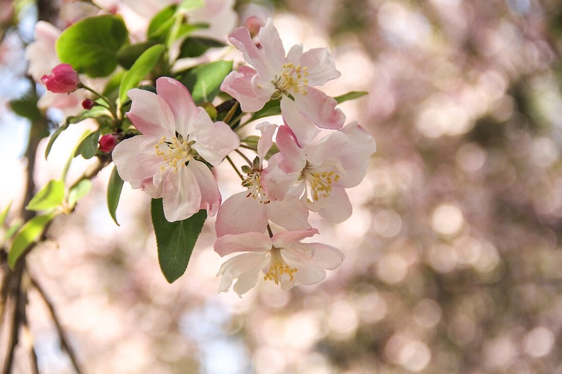 Erfahren Sie alles über Handelsblatt, aktuelle Themen und Wirtschaftsnachrichten. Bleiben Sie informiert und up to date mit unserem Artikel!