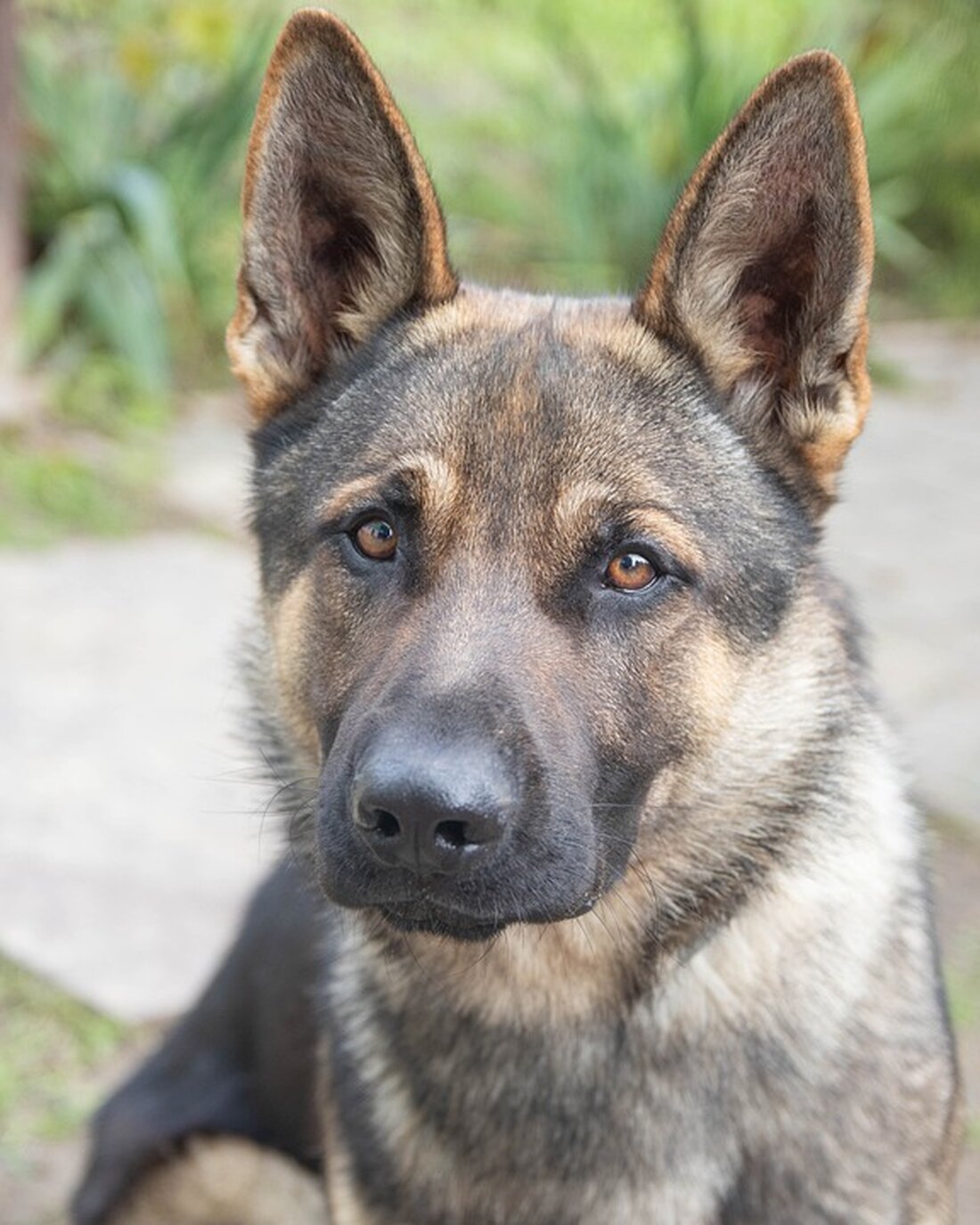 Die deutsche Wirtschaft in Gefahr: Unternehmer warnt vor Deindustrialisierung und Energiekosten. Wie wirkt sich dies auf die Wirtschaft aus? Experten und Unternehmer diskutieren die Folgen. #DeutscheWirtschaft #Energiekrise #DanielHager