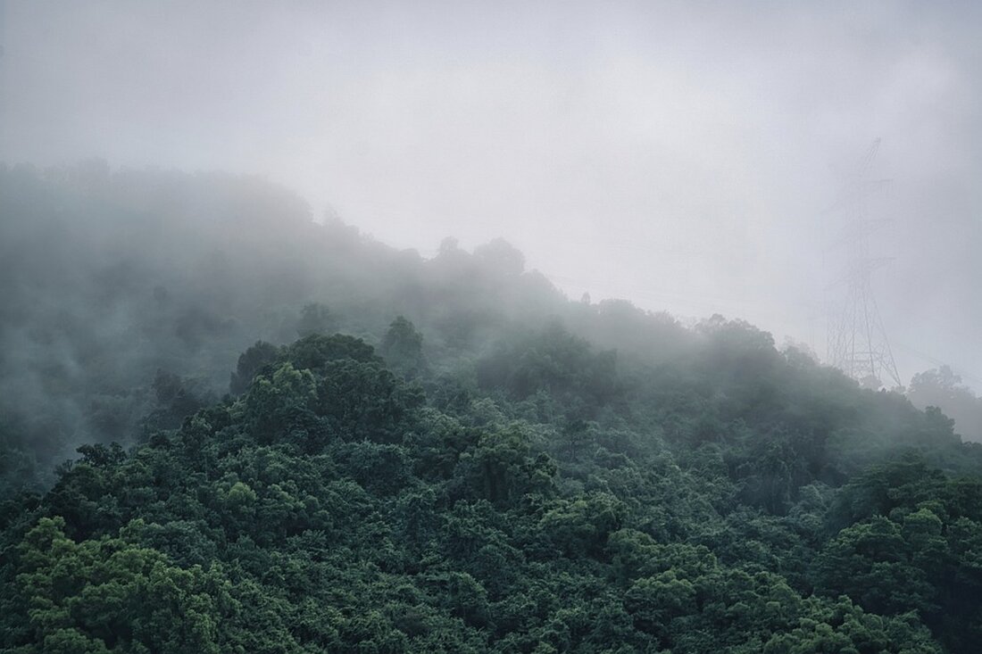 Kryptowährungen wie DOGE, SHIB und WIF stürzen ab - erfahren Sie, welche Meme Coins betroffen sind und wie sich der Markt erholt. Investieren Sie klug in das neue $DOGEVERSE!