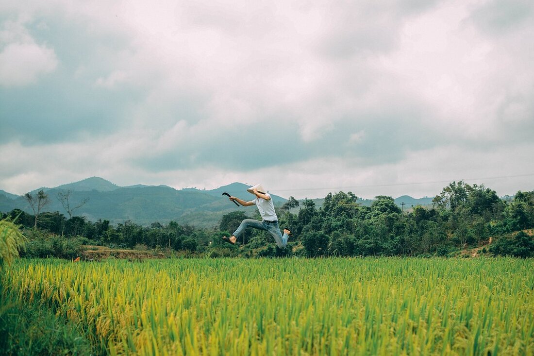 "Steuerzahler müssen jährlich 30 Milliarden für die explodierenden Kosten der Erneuerbaren übernehmen. Wirtschaftsminister Habeck hat zu wenig Geld eingeplant, während offene Fragen zur Finanzierung bleiben. Erfahren Sie mehr hier."