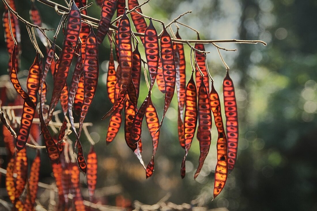 Europäische Wirtschaftspolitik im Wandel: EU-Gipfel diskutiert über Konkurrenz, Investitionen und Staatshilfen. Lesen Sie jetzt die Details! #EU #Wirtschaftspolitik #Investitionen #Staatshilfen