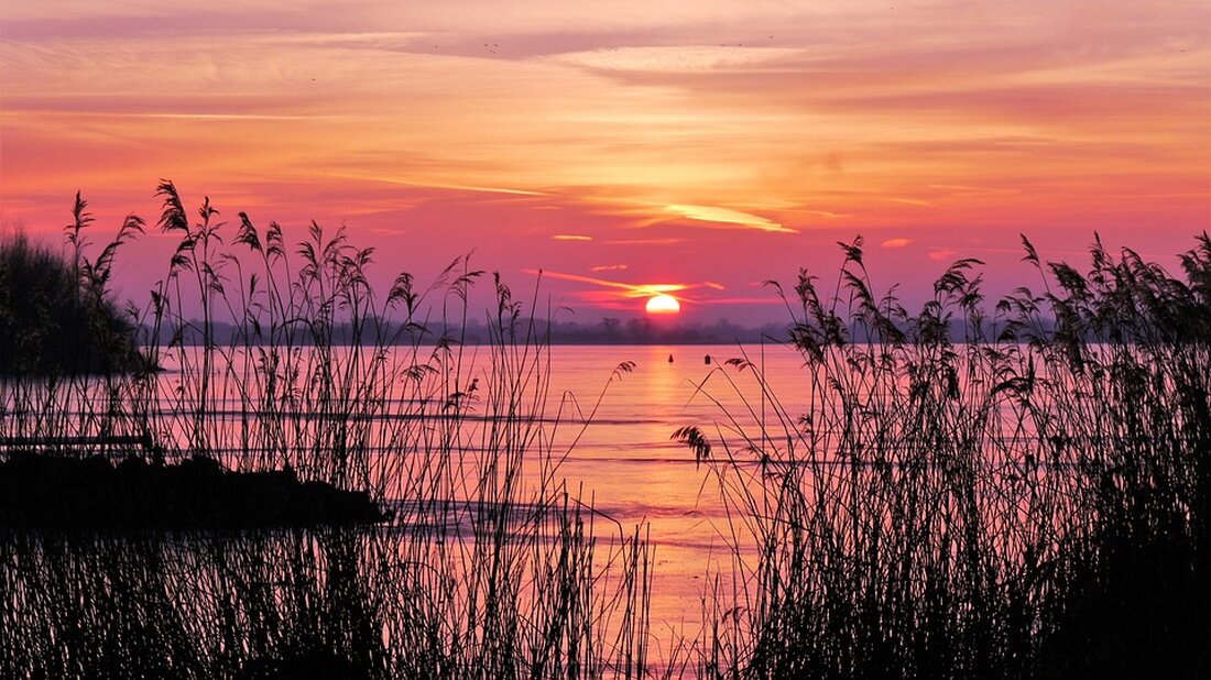 EU must "shift into a higher gear" according to Ursula von der Leyen. Find out how the EU plans to boost competitiveness and reduce bureaucracy. Stand: 10.04.2024. Lesedauer: 2 Minuten.