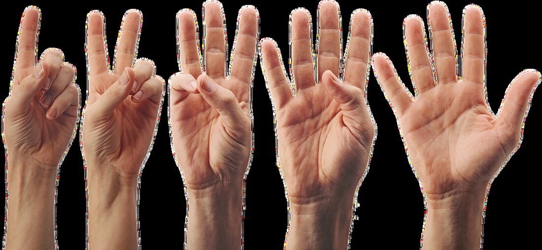 Warum verlassen High-Potentials Deutschland? Erfahren Sie mehr über die Gründe, warum qualifizierte Fachkräfte das Land verlassen und welche Auswirkungen das haben könnte. #BrainDrain #Integration #BildungSchlüsselIntegration