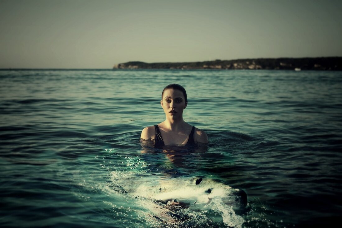 Russland braucht Einwanderung, aber Putin positioniert sich dagegen. Analyse zeigt, warum diese Politik die Wirtschaft schädigen könnte. (188 characters)