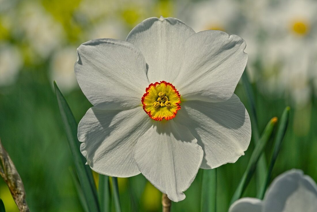 Erfahren Sie, welche historischen Gebäude in München den Fassadenpreis 2023 gewonnen haben. Bewundern Sie die prämierten Renovierungen und lernen Sie mehr über die Stadtgeschichte.