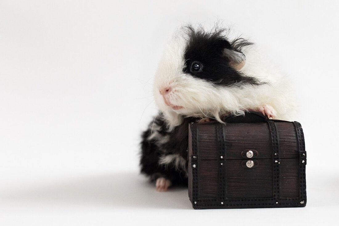 Entdecken Sie, wie Gold zur Renditegarantie wurde! Experten prognostizieren eine anhaltende Gold-Rallye, die Investoren höhere Renditen als der Dax und die Wall Street bringen könnte. Lesen Sie mehr in unserem Artikel.