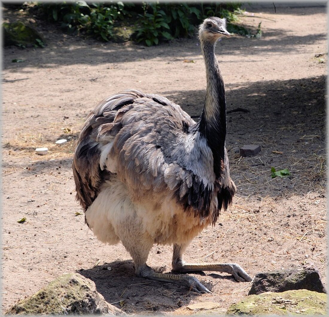 Aktienmarkt: Euro Stoxx 50 verzeichnet leichte Verluste von 0,83 Prozent bei 4.953 Punkten. Infineon, ASML und Ahold Delhaize NV steigen an der Spitze auf. Jahrestief bei Adyen NV, L'Oréal SA und Airbus. Ermitteln Sie mehr über die aktuellen Aktienentwicklungen im Euro Stoxx 50 Index.