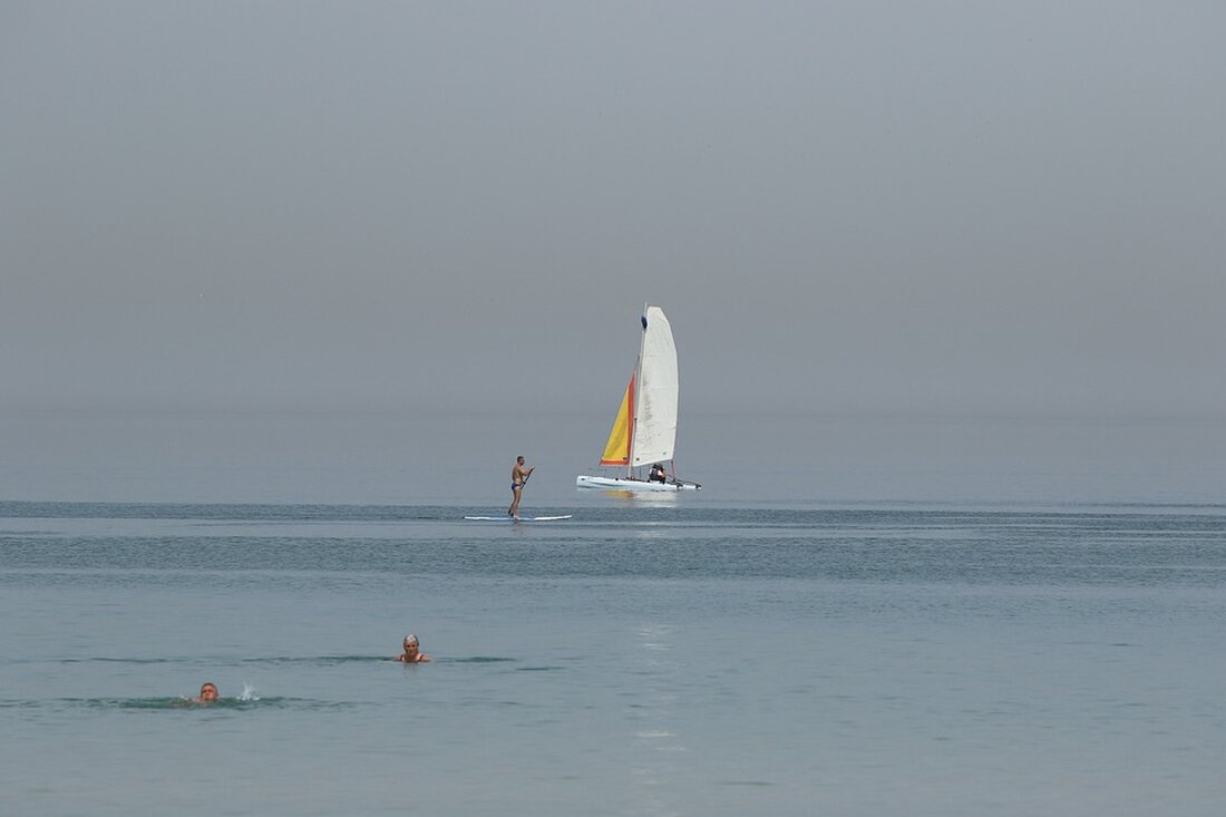 "Entdecken Sie die neuesten Nachrichten und Analysen über Handelsblatt. Erhalten Sie Einblicke in die Welt der Wirtschaft und Finanzen. #Handelsblatt #Wirtschaftsnachrichten"