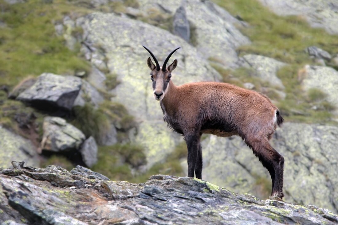 Erfahren Sie, in welchen deutschen Großstädten Sie am meisten sparen können! Entdecken Sie die preisgünstigsten Quadratmeterpreise und warum Münchner Immobilienkäufer benachteiligt sind.