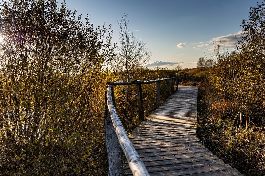 Gartenbau-Versicherung: Erfahren Sie mehr über die Schäden durch Wetterextreme im Geschäftsjahr 2022. Lesen Sie jetzt auf Gabot.de! Schutz vor unvorhersehbaren Risiken im Gartenbau.