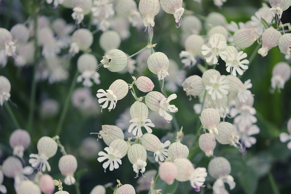 Wirtschaftsexperte Bundesbankpräsident Nagel unterstützt mögliche Leitzinssenkung im Juni aufgrund sinkender Inflationsraten und geopolitischer Einflüsse. #Inflation #Leitzinsen #Bundesbank #JoachimNagel