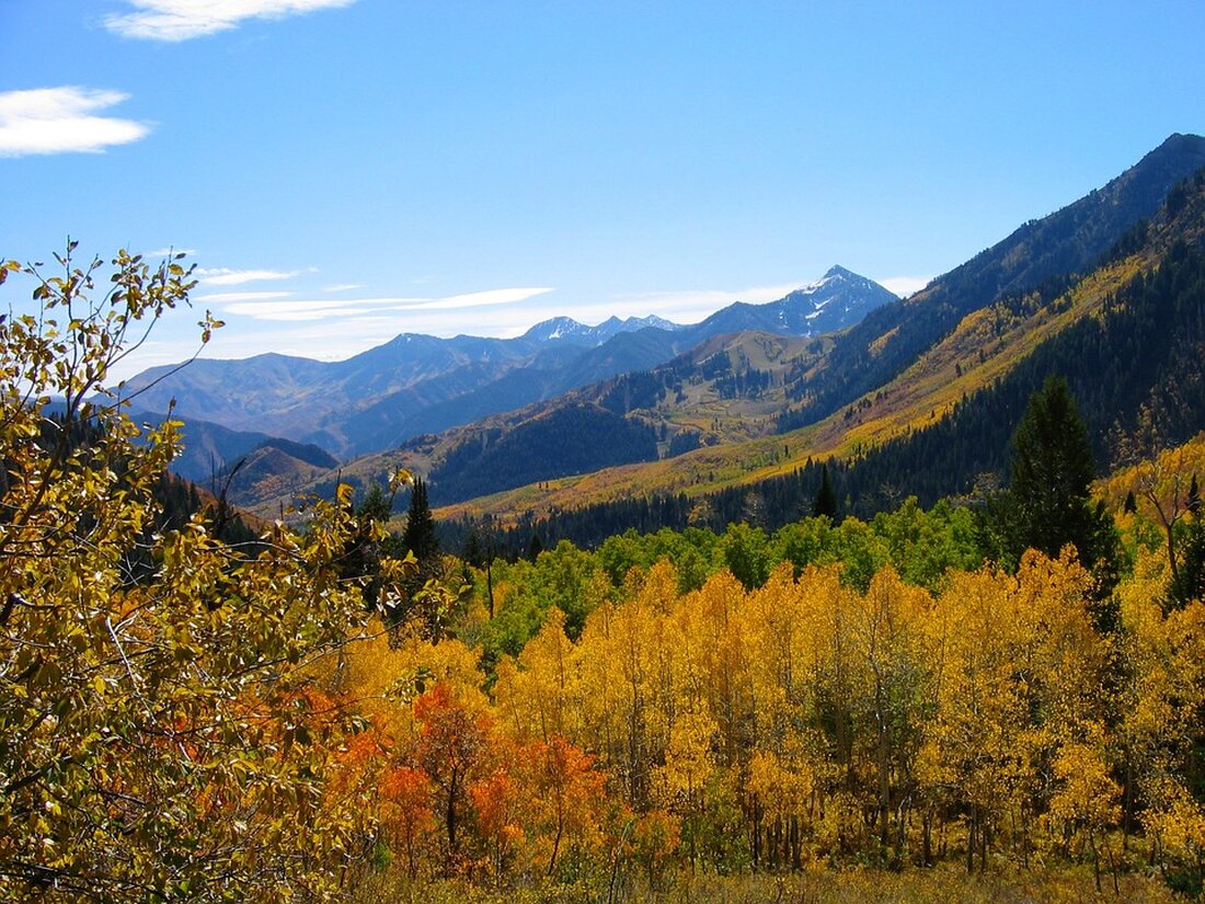 Entdecken Sie, wie Sie trotz steigender Kfz-Versicherungskosten Hunderte Euro sparen können. Erfahren Sie die besten Tipps, Fristen und wichtigen Informationen zur Kfz-Police auf WELT.