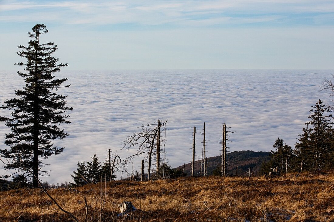 Entdecken Sie die neuesten Nachrichten und Analysen von Handelsblatt. Aktuelle Wirtschaftsthemen, Finanznachrichten und vieles mehr. Bleiben Sie informiert! #Handelsblatt #Nachrichten #Wirtschaft