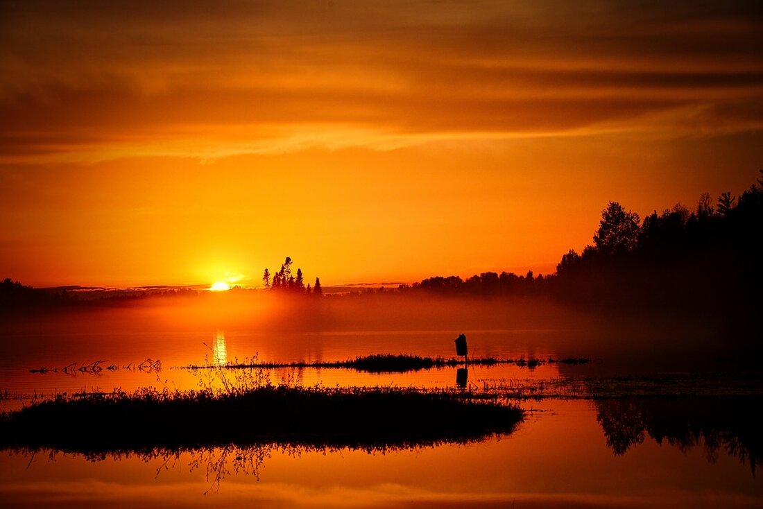 Erfahren Sie alle wichtigen Informationen über die neuesten Entwicklungen bei MSN. Alles, was Sie wissen müssen, kompakt in einem Artikel. #MSN #Nachrichten #Aktuelles