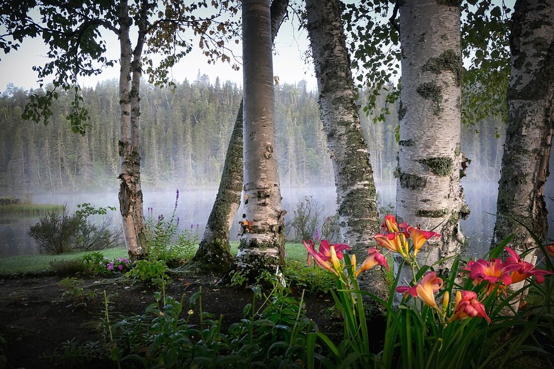 Entdecken Sie in unserem Kommentar zur Wirtschaftspolitik die Sogwirkung von Intels Leuchtturmstrahl. Analysieren Sie die Auswirkungen auf den Markt. #Wirtschaft #Intel #Leuchtturm #Marktfolgen