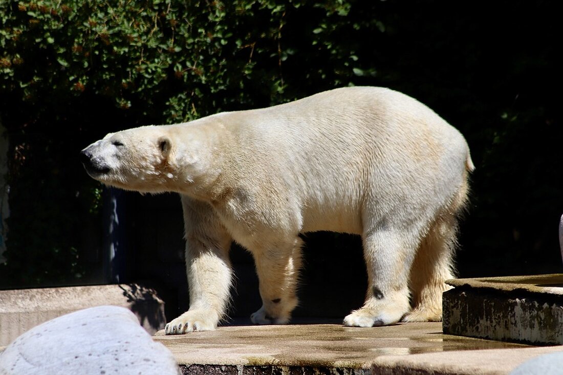 Alles Wichtige über Handelsblatt: aktuelle Nachrichten, Analysen und Hintergründe. Bleiben Sie informiert! #Handelsblatt #Wirtschaftsnachrichten