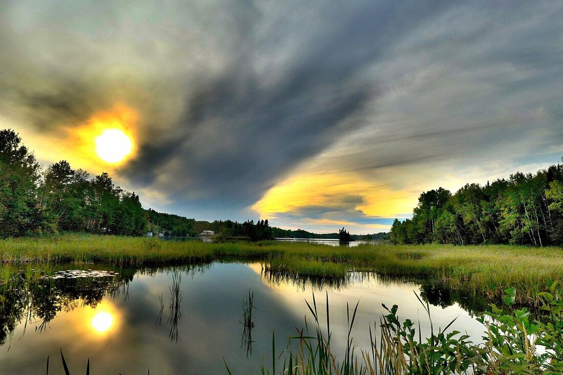 Entdecke die Bedeutung hinter dem Ausdruck "Nur ein Moment..." in diesem fesselnden Artikel. Tauche ein in die Welt der Wartezeiten und gewinne neue Perspektiven.