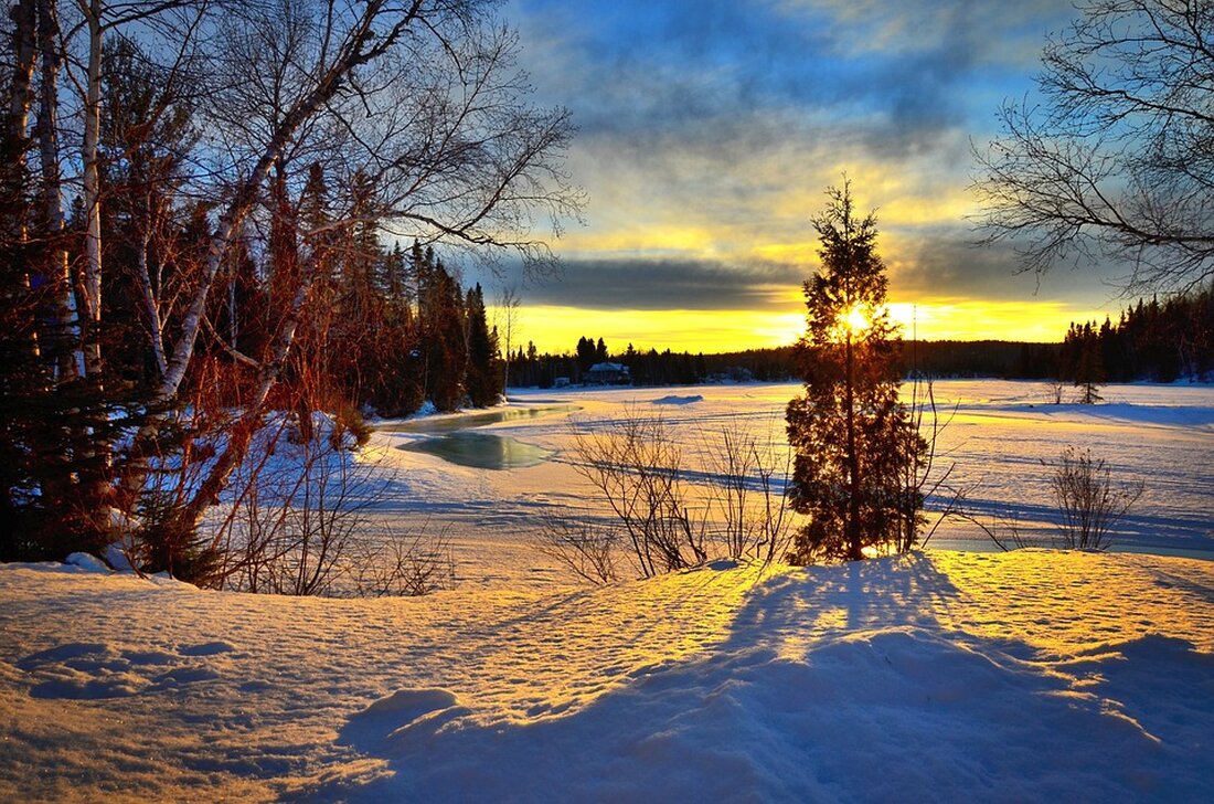 Erfahren Sie alles über die neuesten Updates und Entwicklungen von MSN. Bleiben Sie informiert und up-to-date mit unseren Informationen.