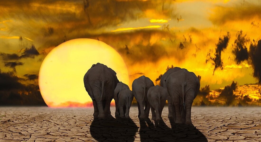 Die Kosten des Klimawandels sind alarmierend! Eine neue Studie zeigt, dass die Schäden bis 2050 drastische Auswirkungen haben werden. Erfahren Sie mehr über die verheerenden Folgen und warum Prävention entscheidend ist. #Klimawandel #Studie #Kosten #Umweltschutz 🌍⚠️