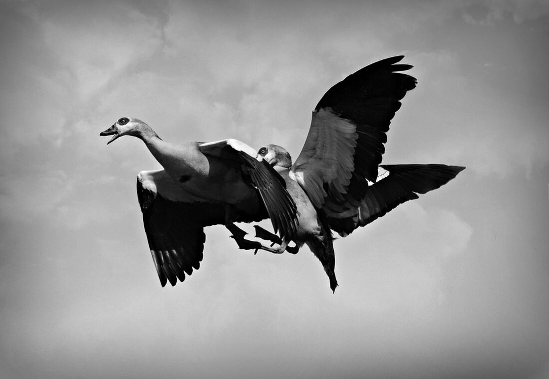 Erfahren Sie mehr über die Debatte, ob Krankenkassen die Kosten für Abnehmspritzen übernehmen sollten. Wichtige Meinungen und Fakten zur aktuellen Diskussion. #Abnehmspritzen #Krankenkassenleistung #Gesundheitspolitik