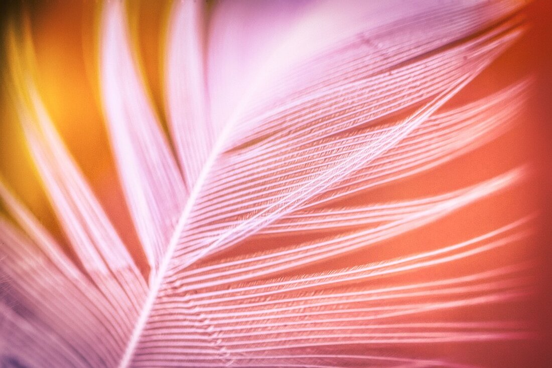 MDAX sinkt um 0,50% - Puma erleidet größten Kursverlust. Aktuelle Entwicklungen und Analysen zur Börsenlage. Erfahren Sie mehr hier.