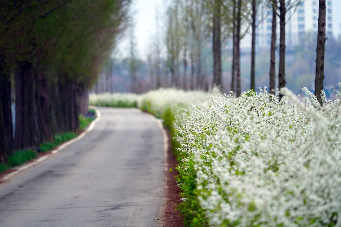 Entdecken Sie, welche Veränderungen Deutschland ab Mai erwartet: KI-Inhalte bei Facebook, steigende Luftverkehrsteuer, höhere Mindestlöhne in der Altenpflege und mehr. Bleiben Sie informiert!