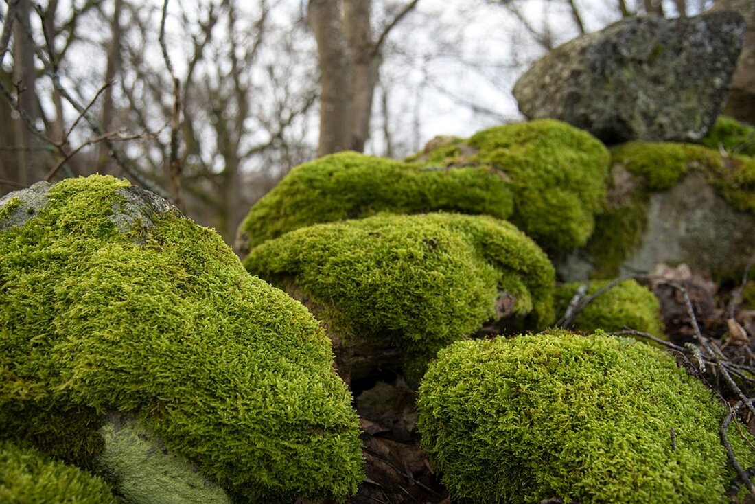 MicroStrategys Quartalsverlust von 53 Millionen US-Dollar und der deutliche Aktienkursrückgang sind besorgniserregende Nachrichten. Lesen Sie hier die Analyse der aktuellen Lage.