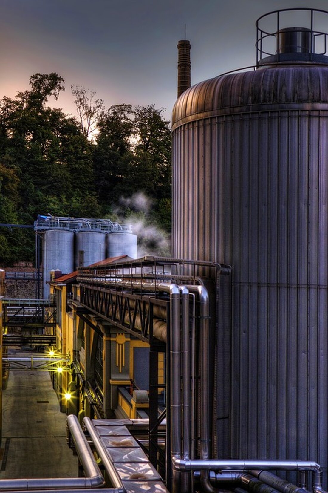 Erfahren Sie, ob es sich lohnt, in die Rentenkasse einzuzahlen. Ein Jahr Minijob kann Ihre Rente nachhaltig beeinflussen. Was bedeutet das für Sie?