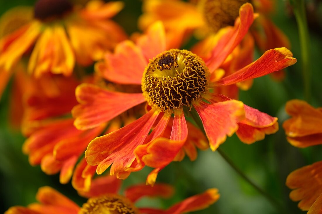 Erfahre alles über die Auswirkungen des Mt. Gox-Abverkaufs auf den Bitcoin Kurs und wie es den Markt beeinflussen könnte. Spekulanten und Analysten sind besorgt! Finde mehr in unserem Artikel.