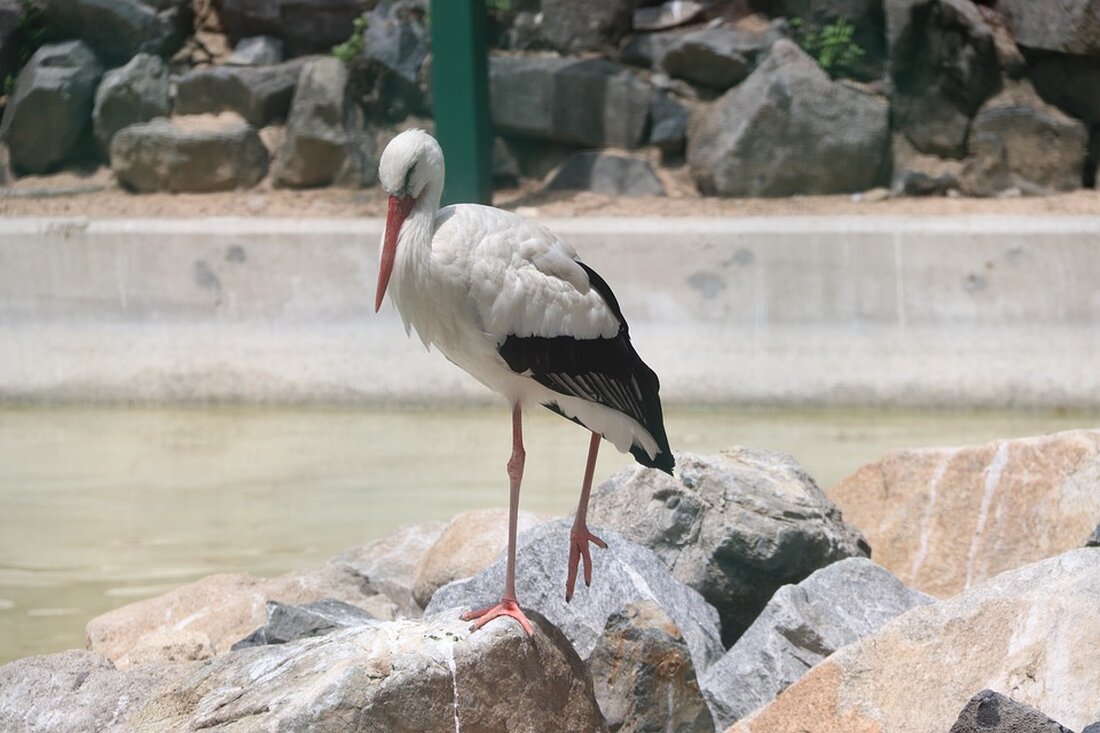 Erfahren Sie alles über die neuesten Entwicklungen bei Handelsblatt. Aktuelle Wirtschaftsnachrichten kompakt zusammengefasst. Bleiben Sie informiert!