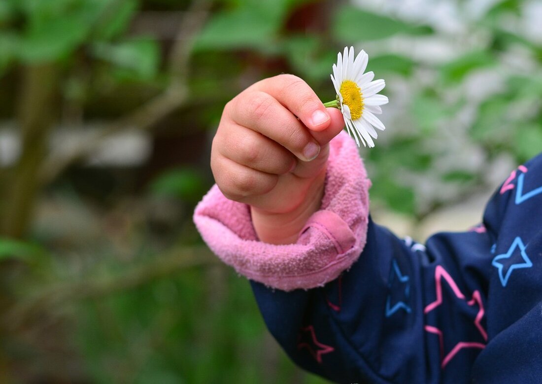 Krypto-Rally auf dem Prüfstand: Short-Wetten gegen MicroStrategy, Coinbase & Co. im Milliardenbereich. Sind die Krypto-Aktien überbewertet? Erfahren Sie mehr.