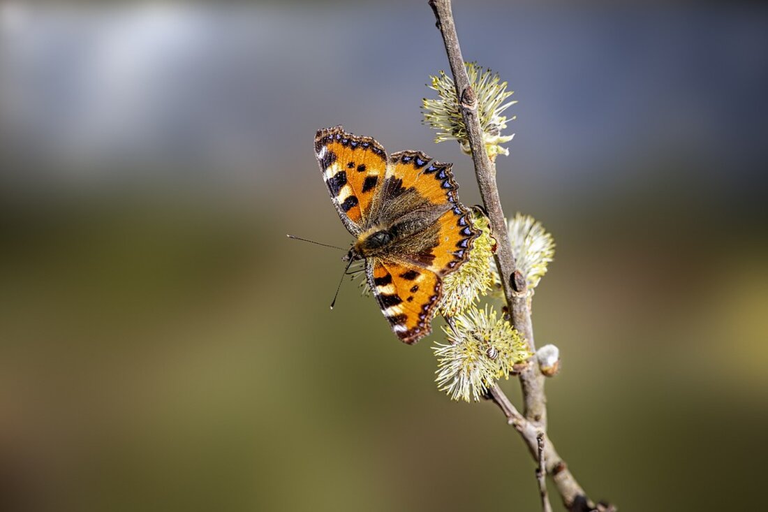 Erfahren Sie alles über die neuesten Entwicklungen bei Handelsblatt. Zuverlässige Nachrichten und Analysen für Finanzexperten und Unternehmer. #Handelsblatt #Wirtschaftsnachrichten