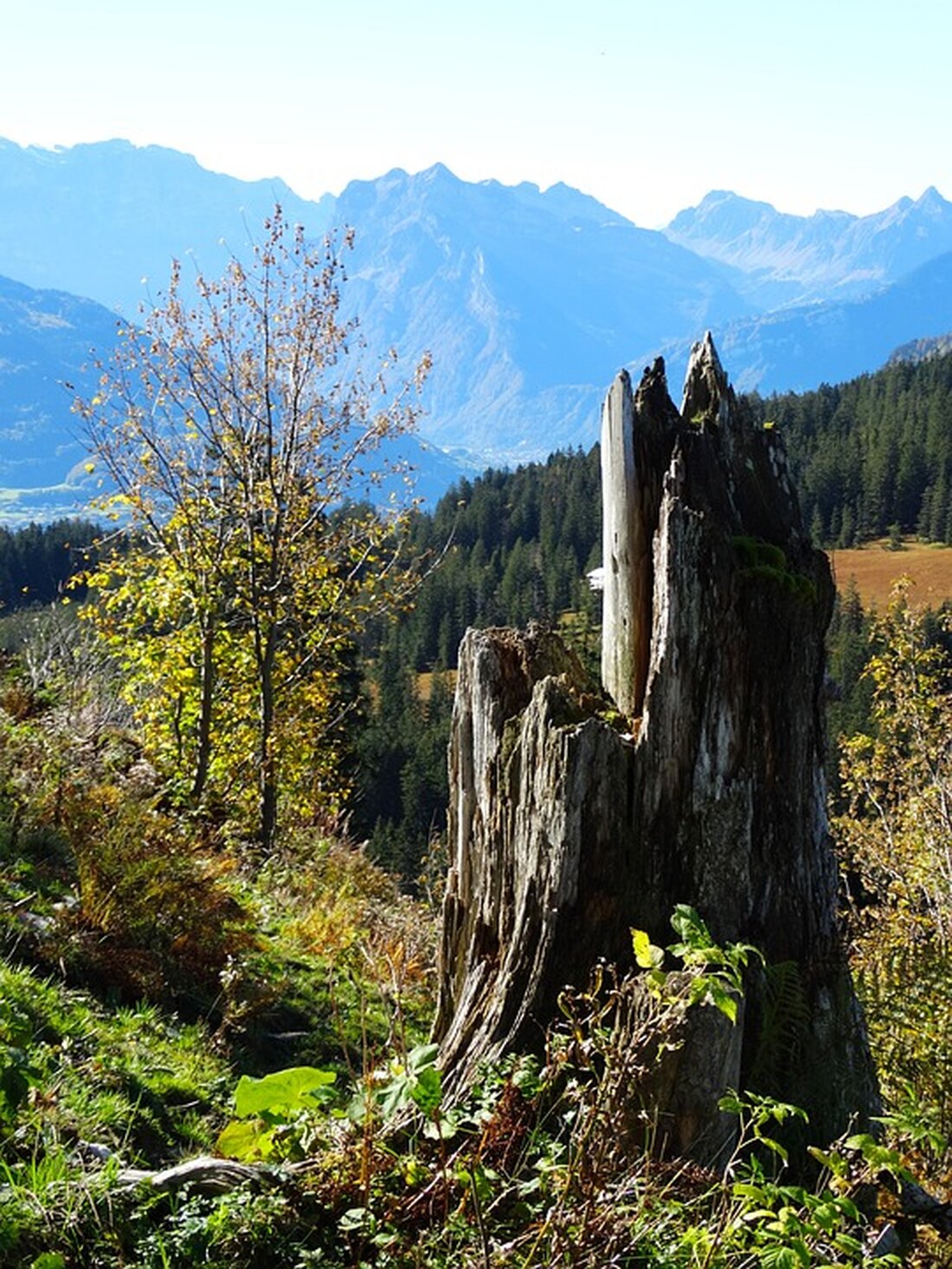 Was benötigen Sie, um Sturmschäden Ihrer Versicherung zu melden? Erfahren Sie hier, welche Versicherung für welche Schäden zuständig ist und wie Sie sich am besten absichern. Alles über Sturmschäden und Versicherungsschutz!
