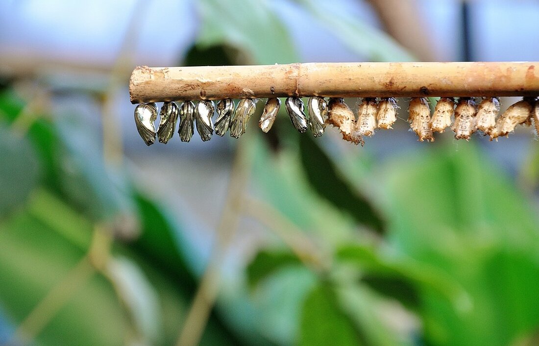 Mittwochshandel in Frankfurt: TecDAX leichter - Aktuelle Entwicklungen und Top/Flops im TecDAX. Erfahren Sie mehr über die Börsenbewegungen am 17.04.2024.