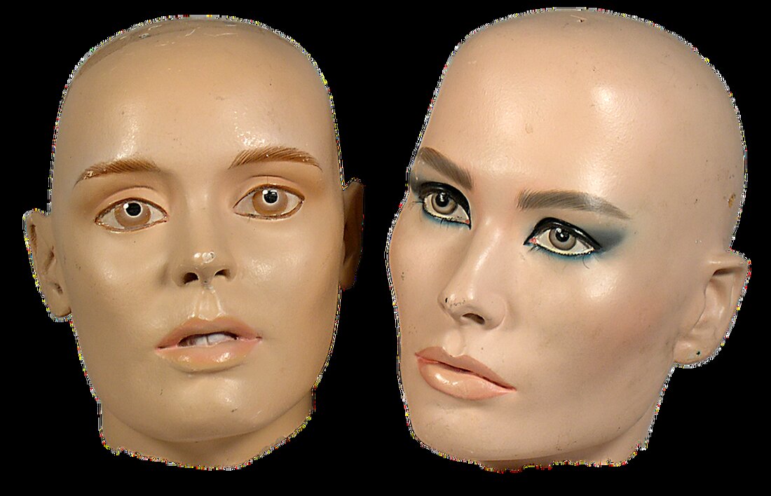 Mit Trump als Verbündeter erlebt der Aktienmarkt Hoffnung. Sein Fokus auf Wirtschaftspolitik und Unternehmen brachte 58% Kursplus. Was bedeutet das für Amerika? Finde es heraus.