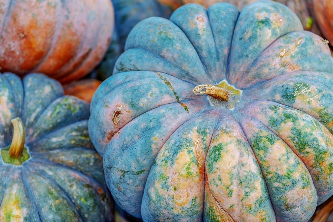 Donald Trump erhielt bei einer Kundgebung in Butler, Pennsylvania, Unterstützung von Elon Musk, der die Wähler mobilisierte.