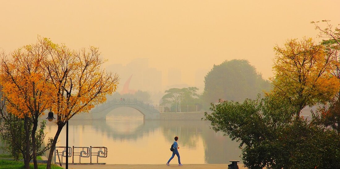 Die US-Notenbank ringt mit der Entscheidung, die Zinsen zu senken, während das hohe Staatsdefizit des Landes den Dollar schwächt. Erfahre mehr über die aktuelle wirtschaftliche Lage.