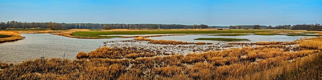 "US-Staatsanleihen auf Rekordhöhe platziert - droht eine Finanzkrise? Erfahren Sie mehr über die überschwemmten Märkte und die sinkende Nachfrage."