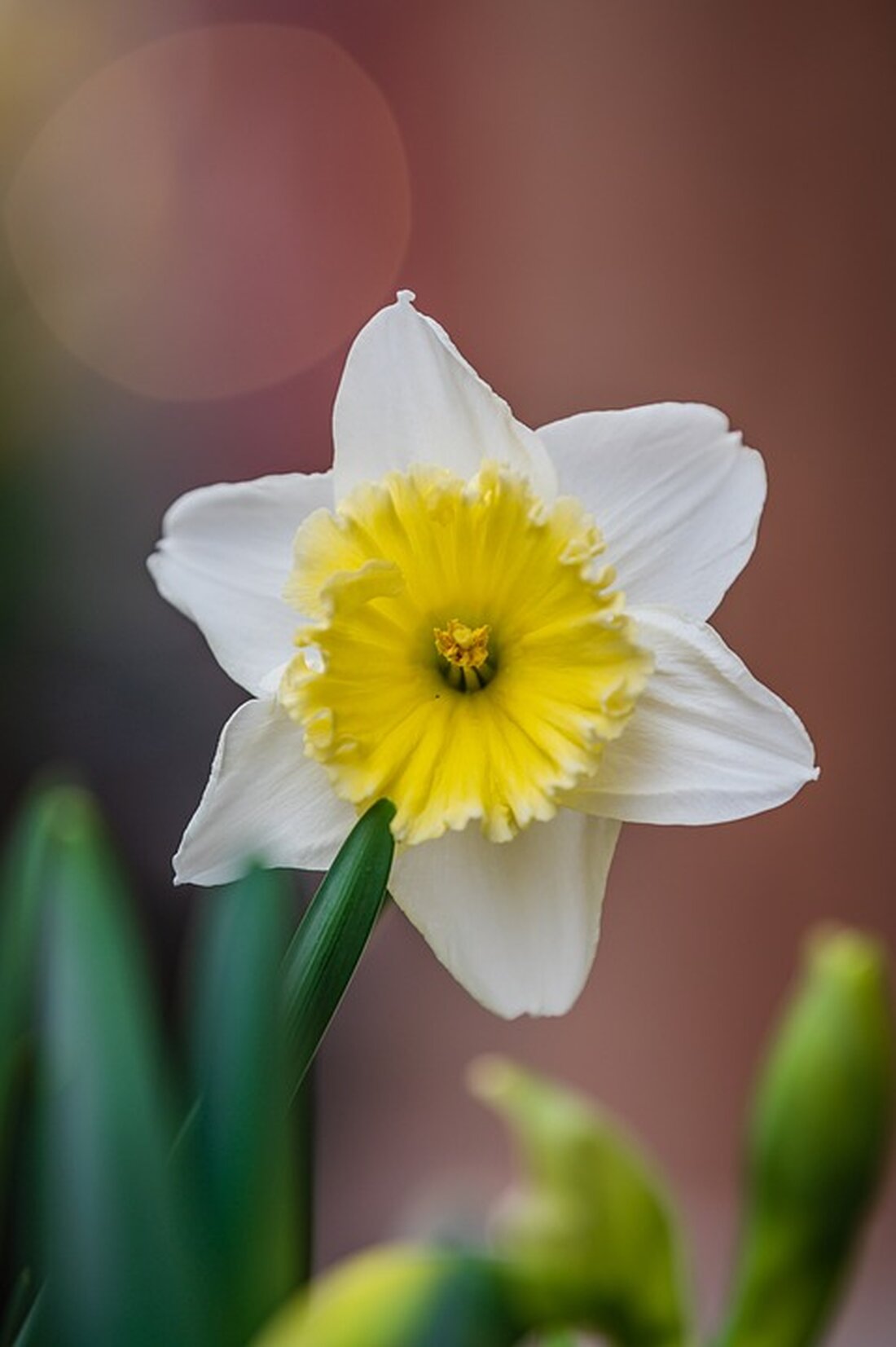 Erfahren Sie alles über aktuelle Entwicklungen rund um die Wirtschafts- und Finanzzeitung Handelsblatt in unserem Artikel. Bleiben Sie informiert! #Handelsblatt #Wirtschaftsnachrichten